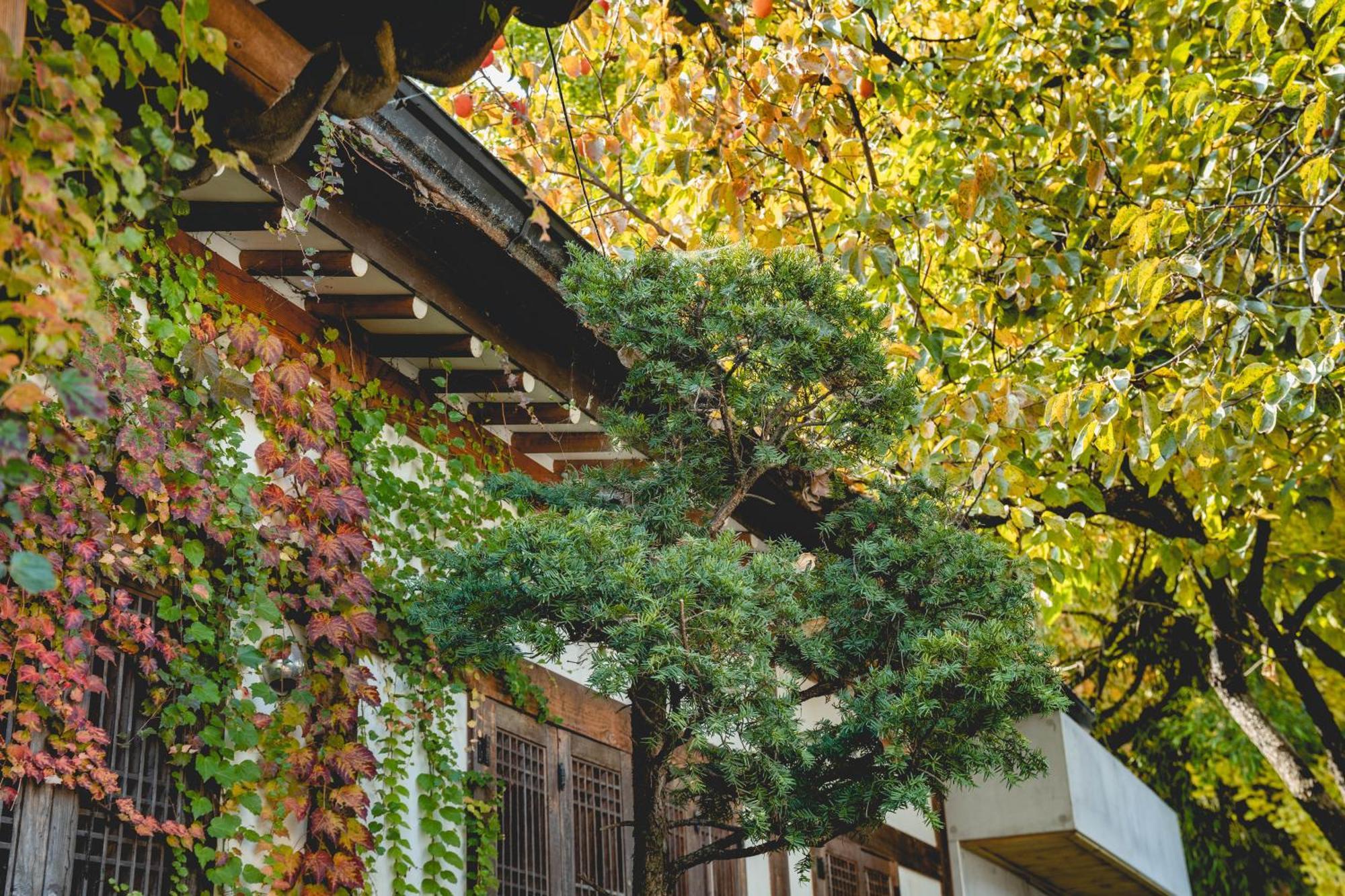 Hotelarrive Jeonju Sihwayeonpung ภายนอก รูปภาพ